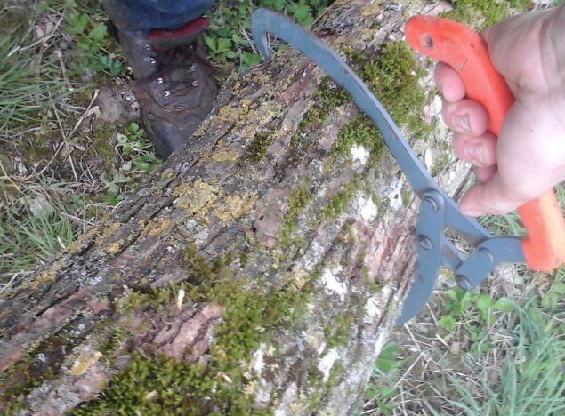 Holzzange im Vergleich zum Handsappie für den Holzumschlag