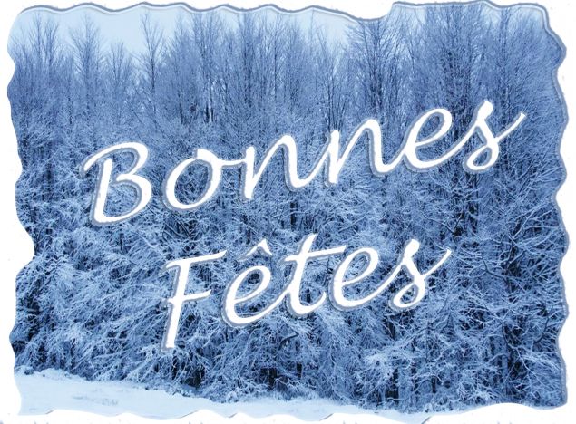 Bonnes Fêtes de fin d’année !