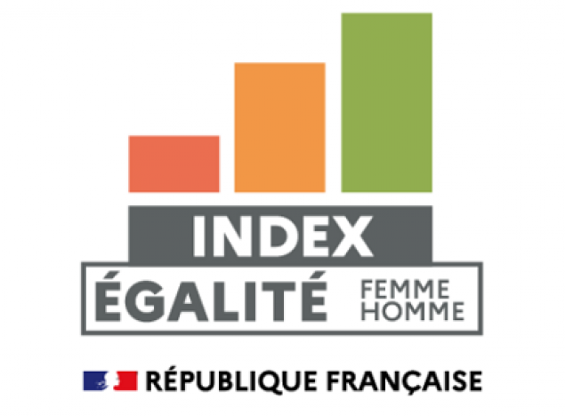 Index égalité professionnelle entre les femmes et les hommes 2023